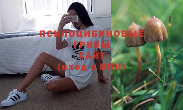 a pvp Волоколамск