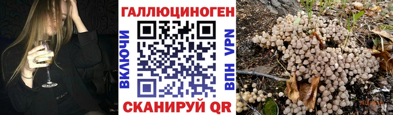 даркнет сайт  Петушки  Псилоцибиновые грибы GOLDEN TEACHER 